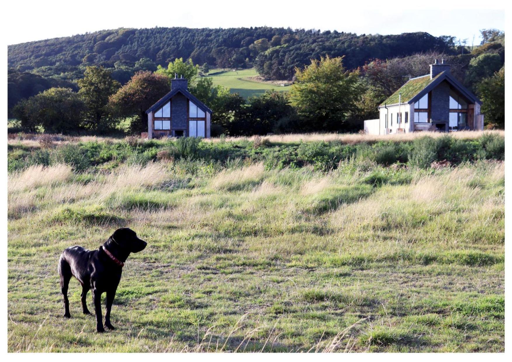 Eco-Lodge With Sea View Charleton Estate Colinsburgh Kültér fotó